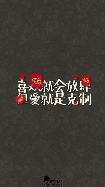 iphone5壁纸图片 _ 第(9)张