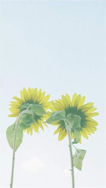 高清iOS7苹果手机壁纸下载第1张