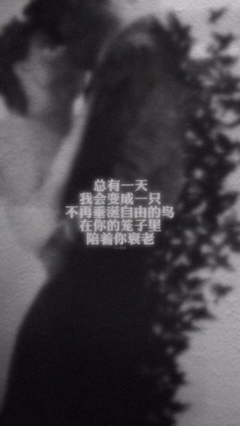 图片 _ 第(9)张