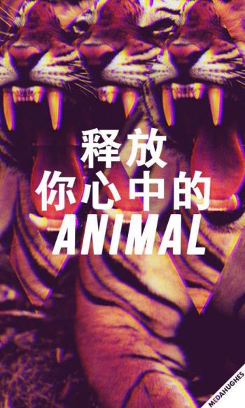 精选励志个性心情文字语录控高清手机壁纸第3张