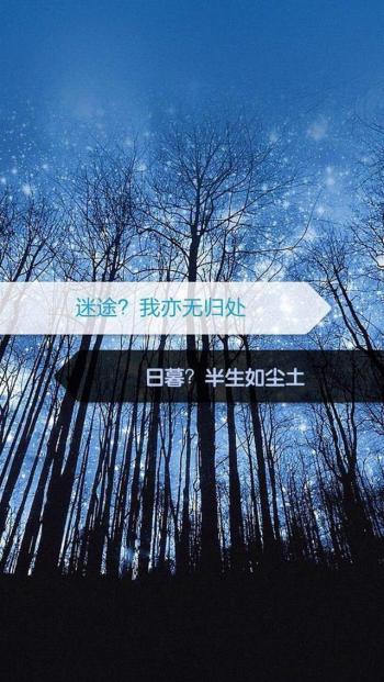精选非主流个性伤感文字控手机壁纸壁纸下载第3张