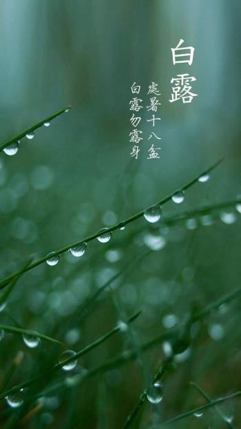 第1张