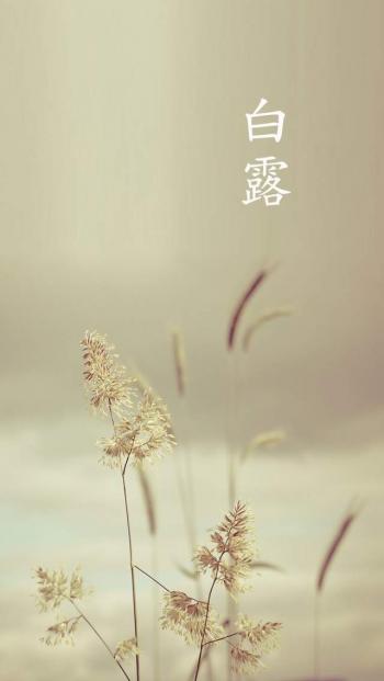 第3张
