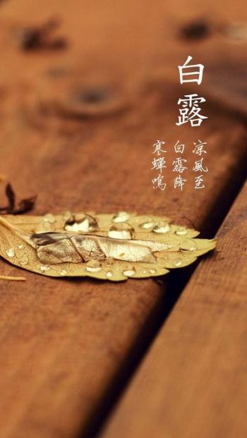 炎热酷暑iPhone5壁纸下载第4张