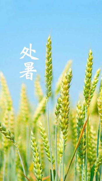 炎热酷暑iPhone5壁纸下载第1张