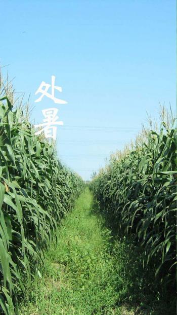 炎热酷暑iPhone5壁纸下载第2张