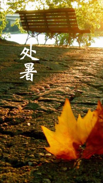 炎热酷暑iPhone5壁纸下载第4张