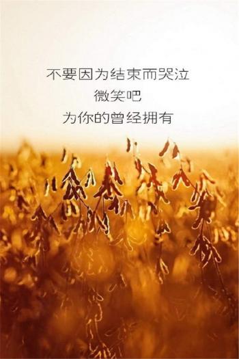 精选伤感非主流唯美清新手机壁纸下载第2张