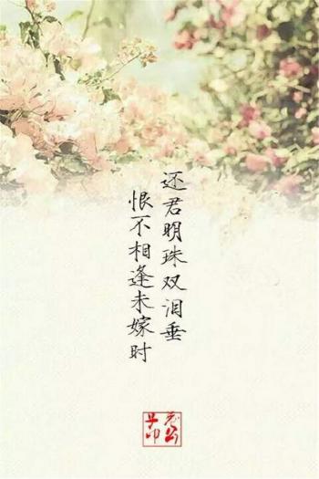 伤感文字语录图片手机壁纸第0张
