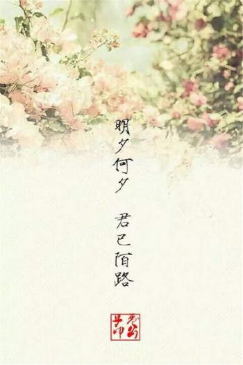 伤感文字语录图片手机壁纸第5张