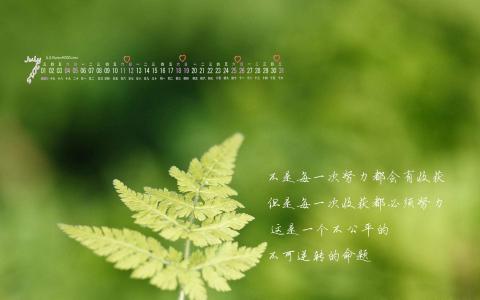 第0张
