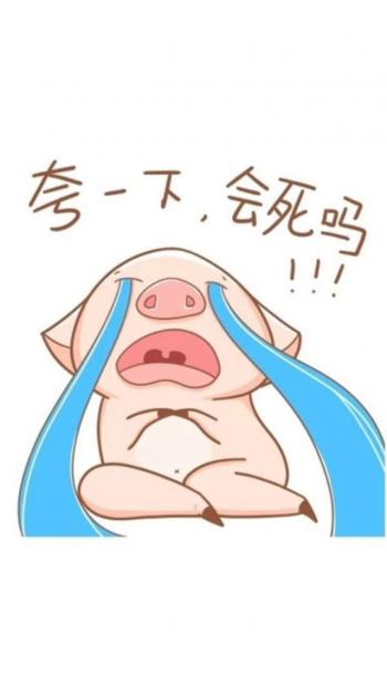 萌贱小猪可爱高清手机桌面壁纸下载第1张