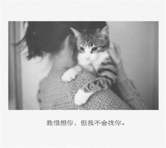 紫色的唯美风景非主流图片手机壁纸第5张