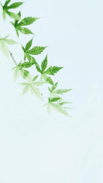 图片 _ 第(1)张