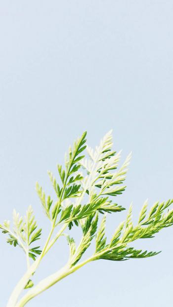 图片 _ 第(3)张