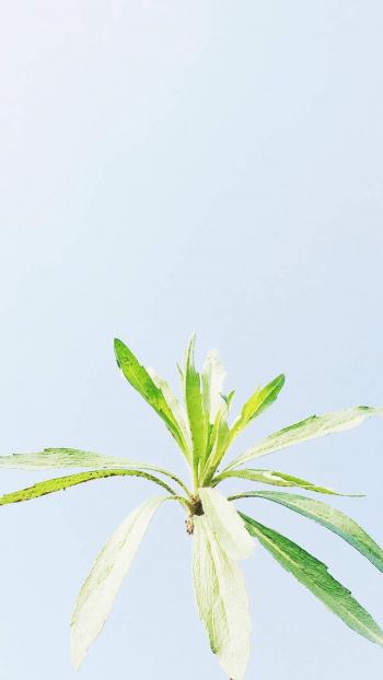 图片 _ 第(4)张