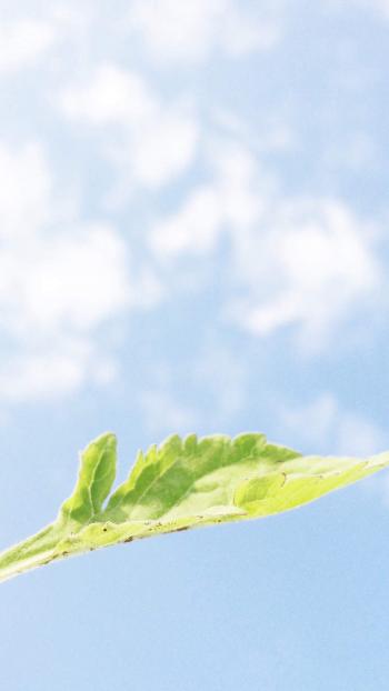 图片 _ 第(5)张