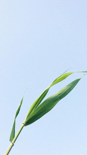 图片 _ 第(9)张