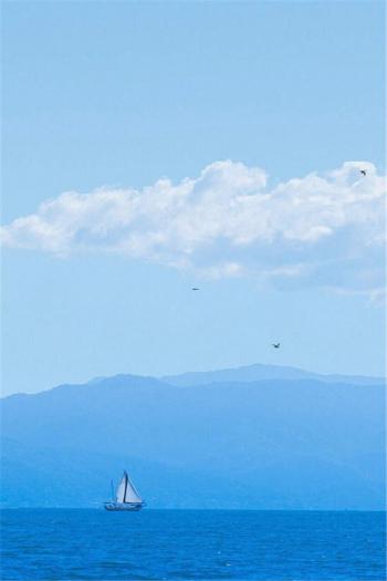 夏日小新清唯美海边风景手机桌面壁纸下载第5张
