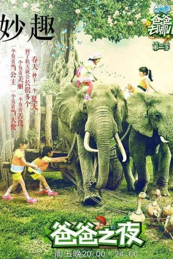 爸爸去哪儿图片 _ 第(4)张