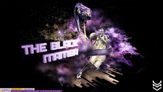NBA球星图片 _ 第(1)张