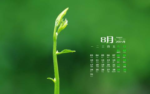 第3张