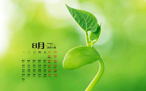 图片 _ 第(1)张