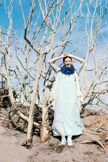 日本福冈县美女模特苍井优高清手机桌面壁纸下载第3张