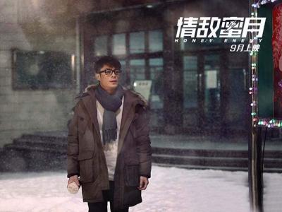 爱情浪漫鲜艳玫瑰花图片wp手机桌面主题壁纸第0张