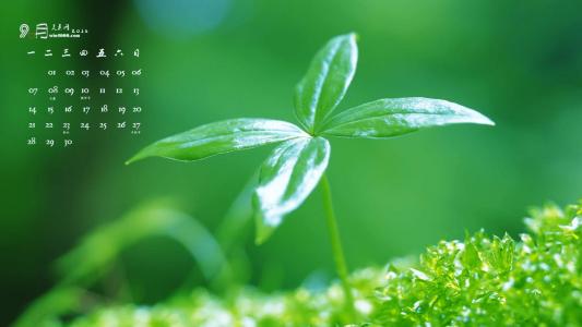 图片 _ 第(1)张