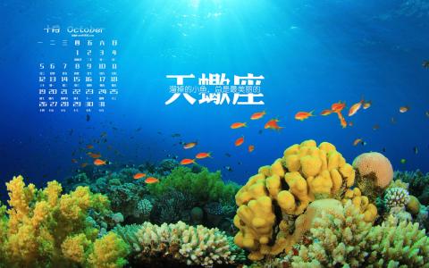天蝎座图片 _ 第(1)张