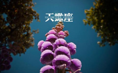 图片 _ 第(1)张