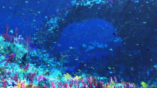 图片 _ 第(2)张