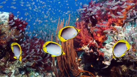 图片 _ 第(5)张