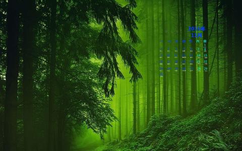 图片 _ 第(1)张