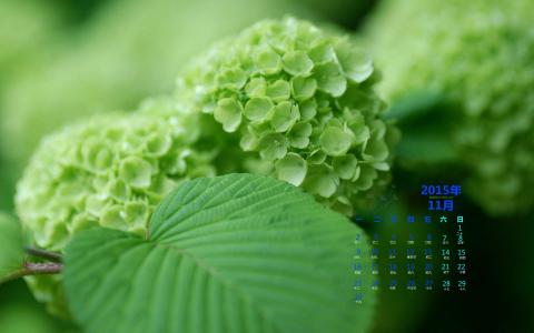 图片 _ 第(1)张