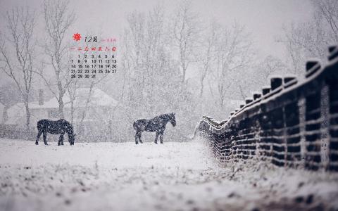 图片 _ 第(1)张