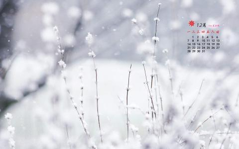 图片 _ 第(1)张