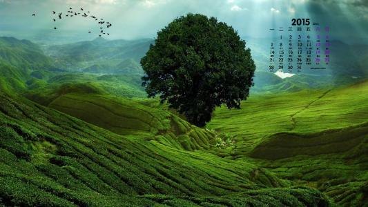 高清风景壁纸图片 _ 第(1)张