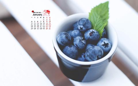 蓝莓图片 _ 第(1)张