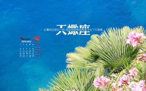 第0张