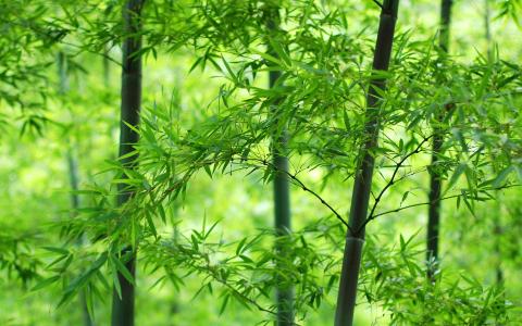 图片 _ 第(1)张