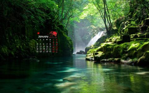 2016年12月日历自然绿色桌面壁纸第0张