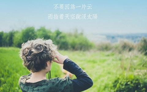 第0张