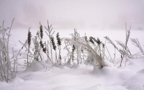 冬日雪景图片 _ 第(2)张