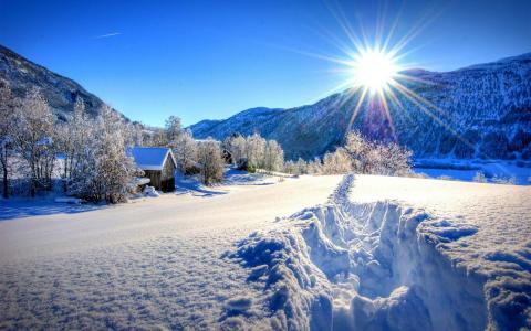 冬日雪景图片 _ 第(5)张