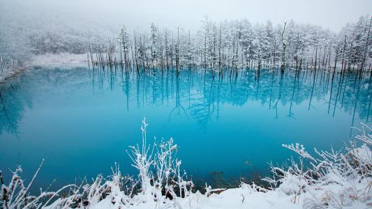 冬日雪景图片 _ 第(7)张