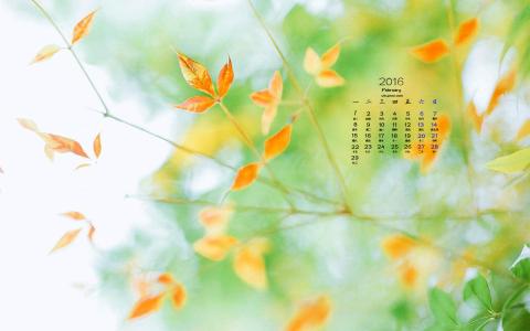 2016年12月日历自然绿色桌面壁纸第0张