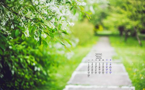 2016年12月日历自然绿色桌面壁纸第0张