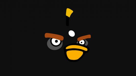 愤怒的小鸟图片 _ 第(10)张